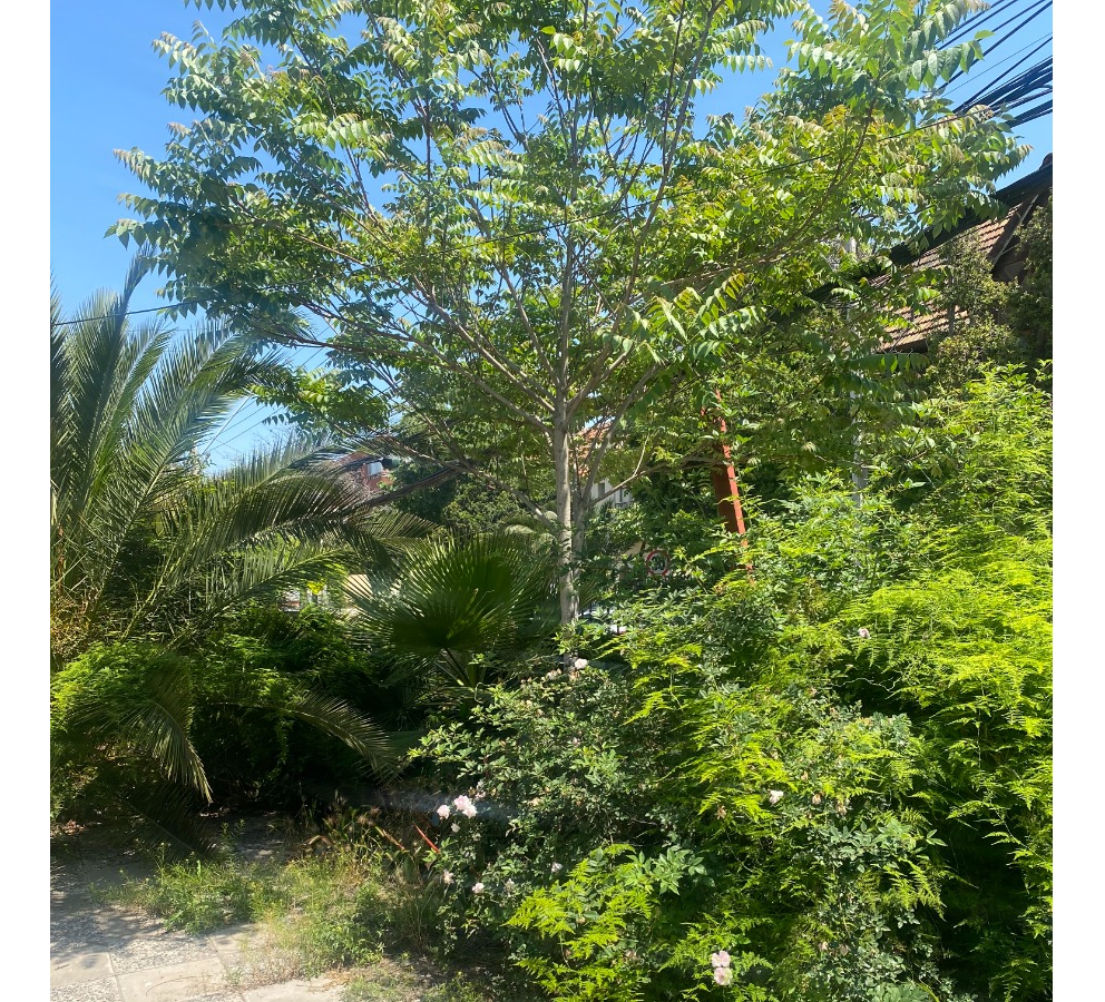 Venta Casa 4D Plaza Italia - Providencia