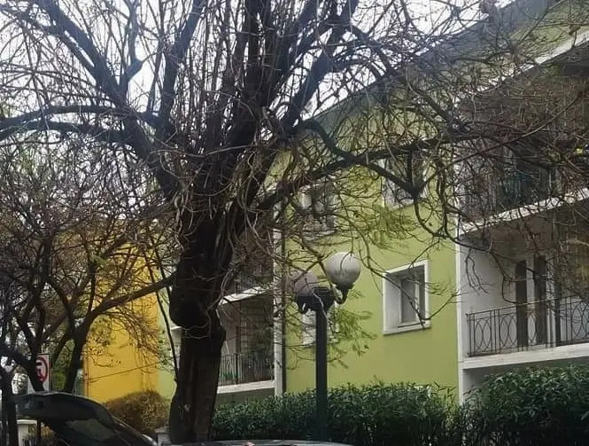 Venta Departamento NP 2D 2B In&eacute;s de Su&aacute;rez - Providencia