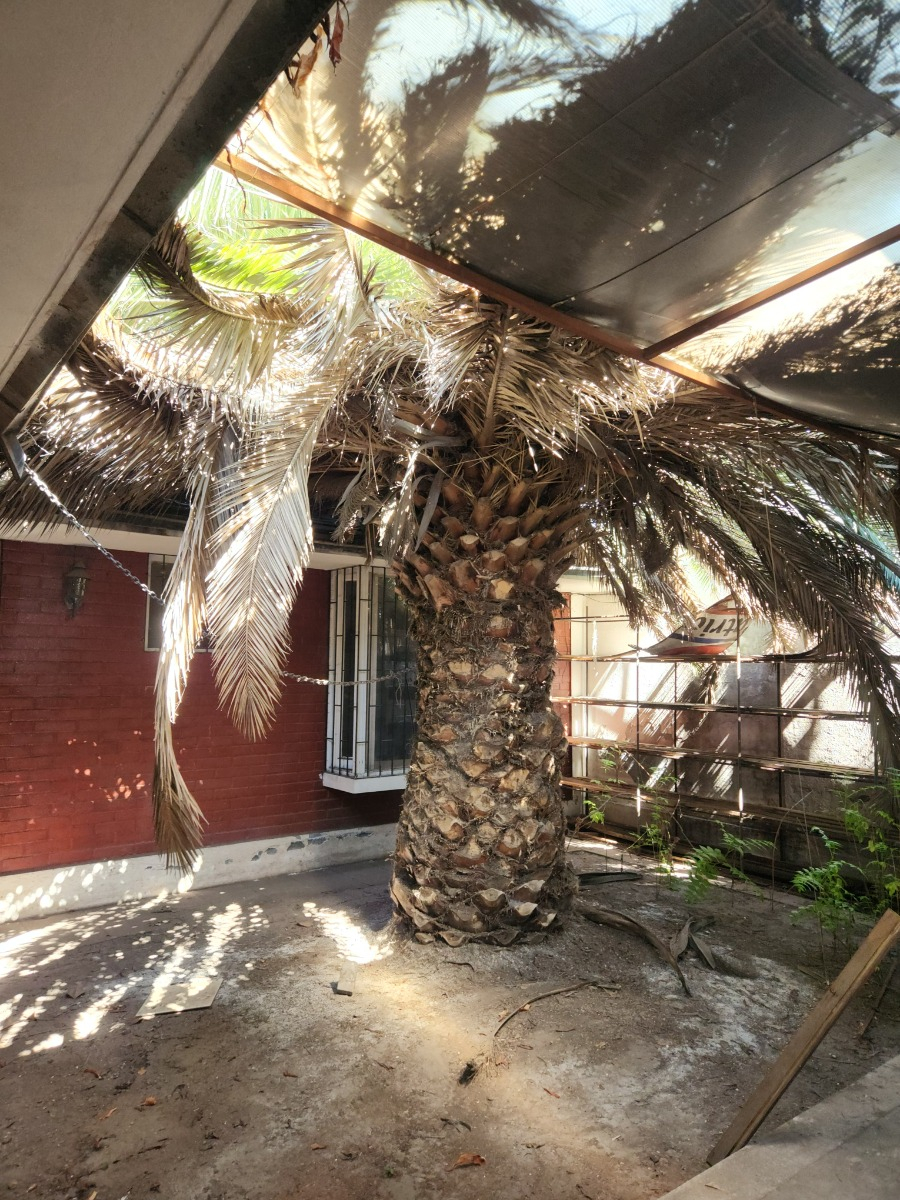 Venta Casa 8D 4B 3E 2B In&eacute;s de Su&aacute;rez - Providencia