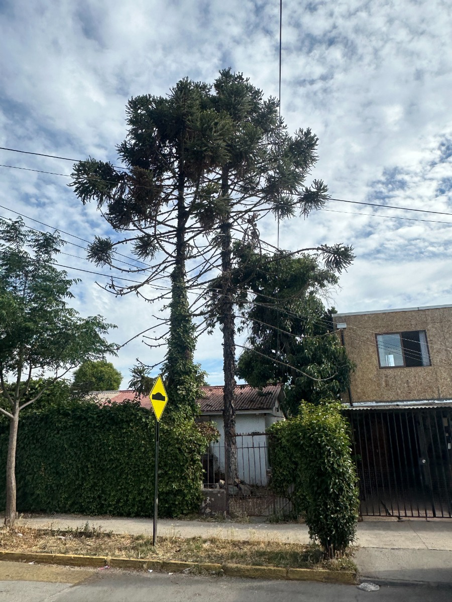 Venta Casa N 2D 1B 3E Villa Los Jard&iacute;nes - Villa Los Presidentes - &Ntilde;u&ntilde;oa