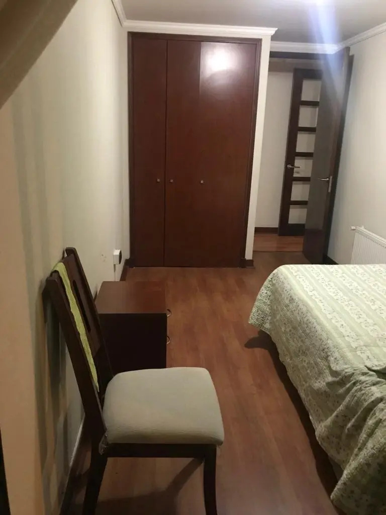 Arriendo Departamento 2D 2B 1E Las Lilas - Providencia