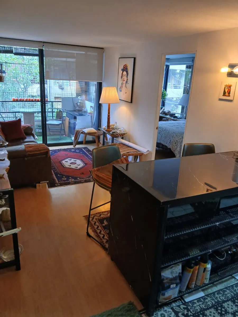 Venta Departamento P 1D WI cl&oacute;set Suite 1B 1E Las Lilas - Providencia