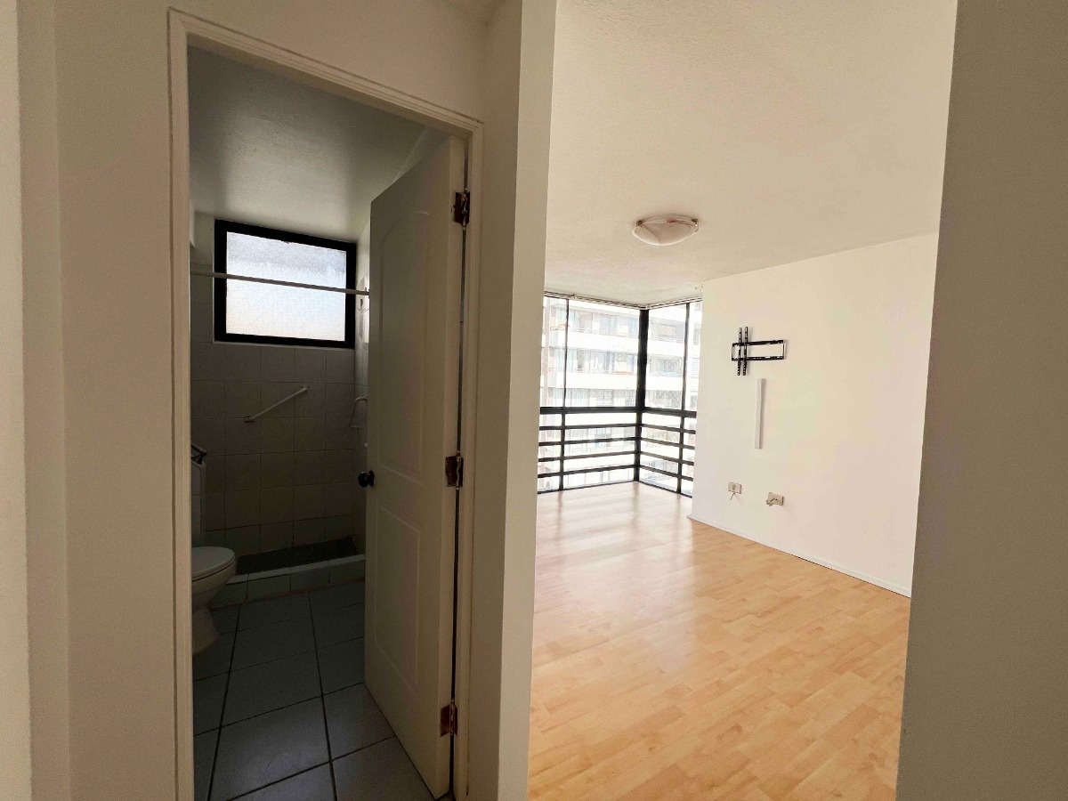 Arriendo Departamento SP 2D 2B 1E 1B Metro &Ntilde;u&ntilde;oa - &Ntilde;u&ntilde;oa