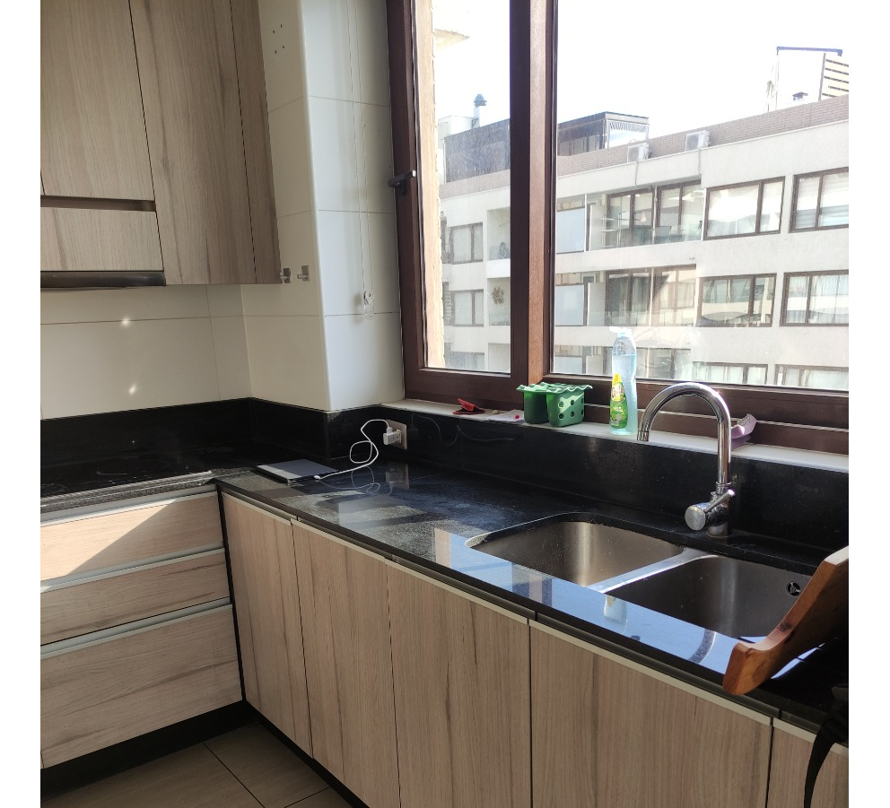 Arriendo Departamento 3D In&eacute;s de Su&aacute;rez - Providencia