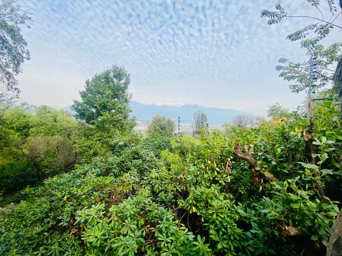 Venta Casa NO 5D en suite Walk-in cl&oacute;set 4B 6E 1B Juan XXIII - Vitacura