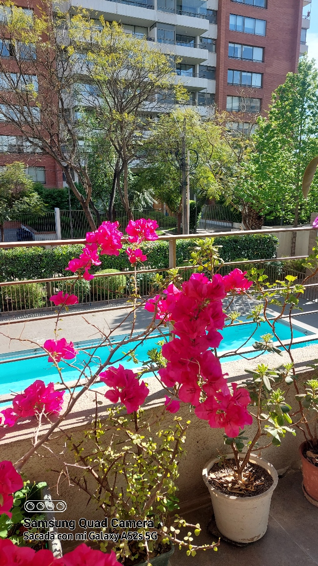 Venta Departamento 3D 3B 1E Blest Gana - La Reina