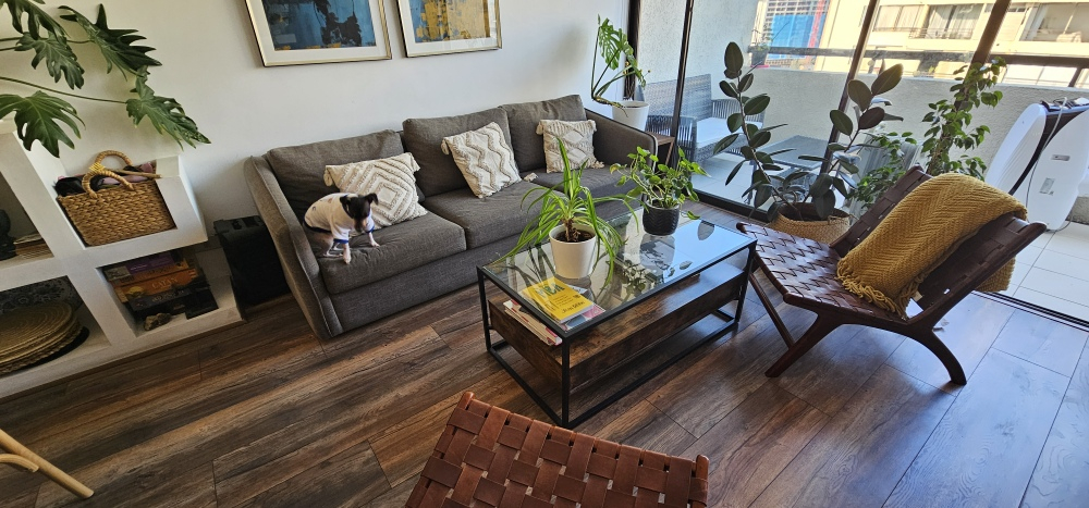 Arriendo Departamento 2D 2B 2E Rotonda Atenas - Las Condes