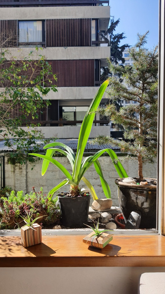 Venta Departamento 1D 1B 1E Parque Bicentenario - Vitacura