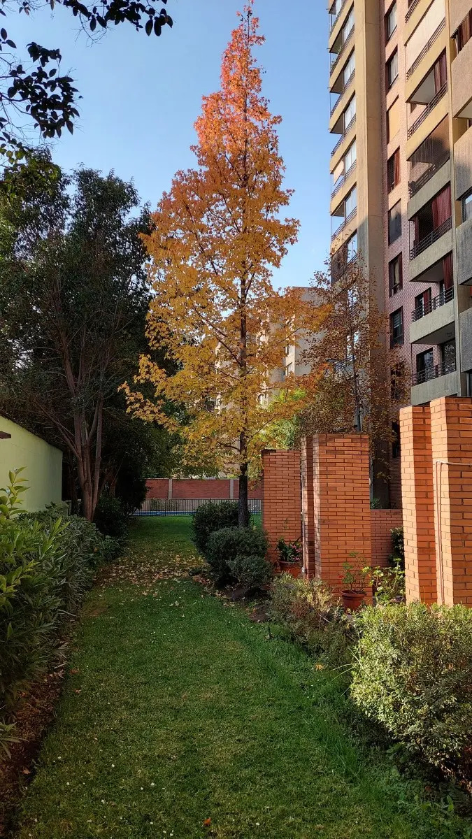 Venta Departamento P 2D 2B 1E 1B Metro Monse&ntilde;or Eyzaguirre - &Ntilde;u&ntilde;oa