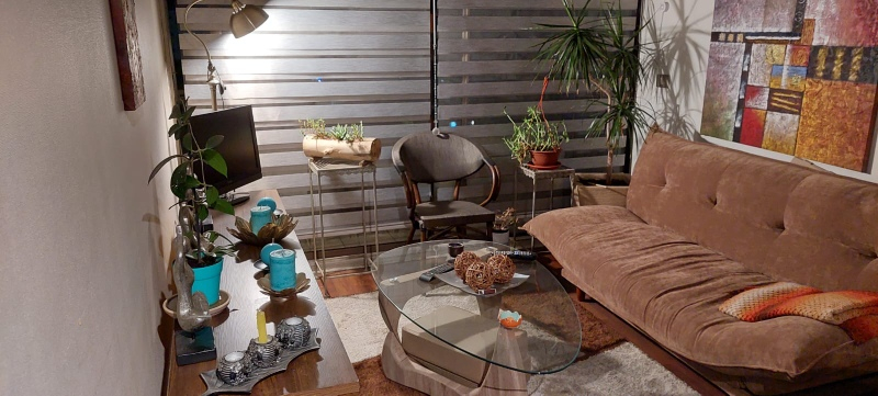 Arriendo Departamento 1D 1B 1B Los Leones - Providencia