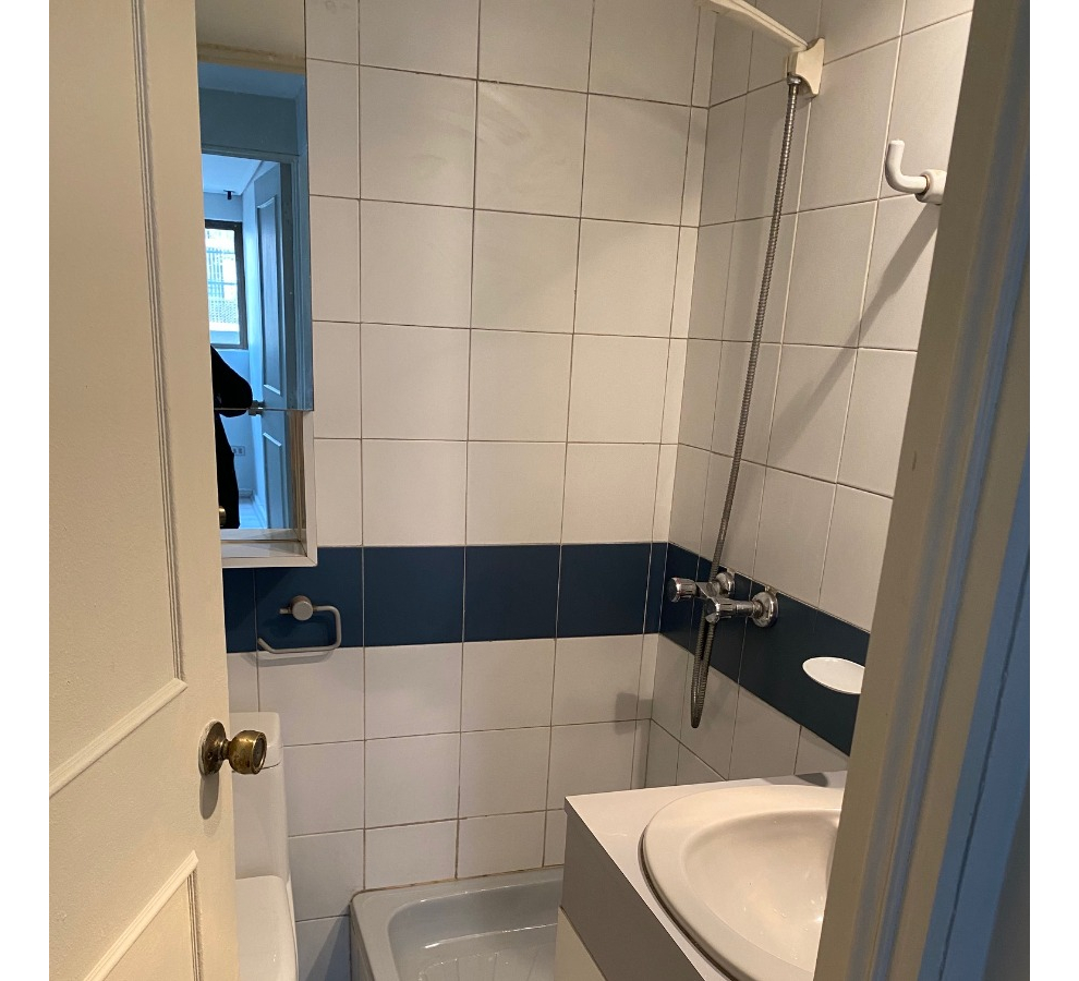 Arriendo Departamento SP 3D 3B 1E 1B Pedro de Valdivia - Providencia