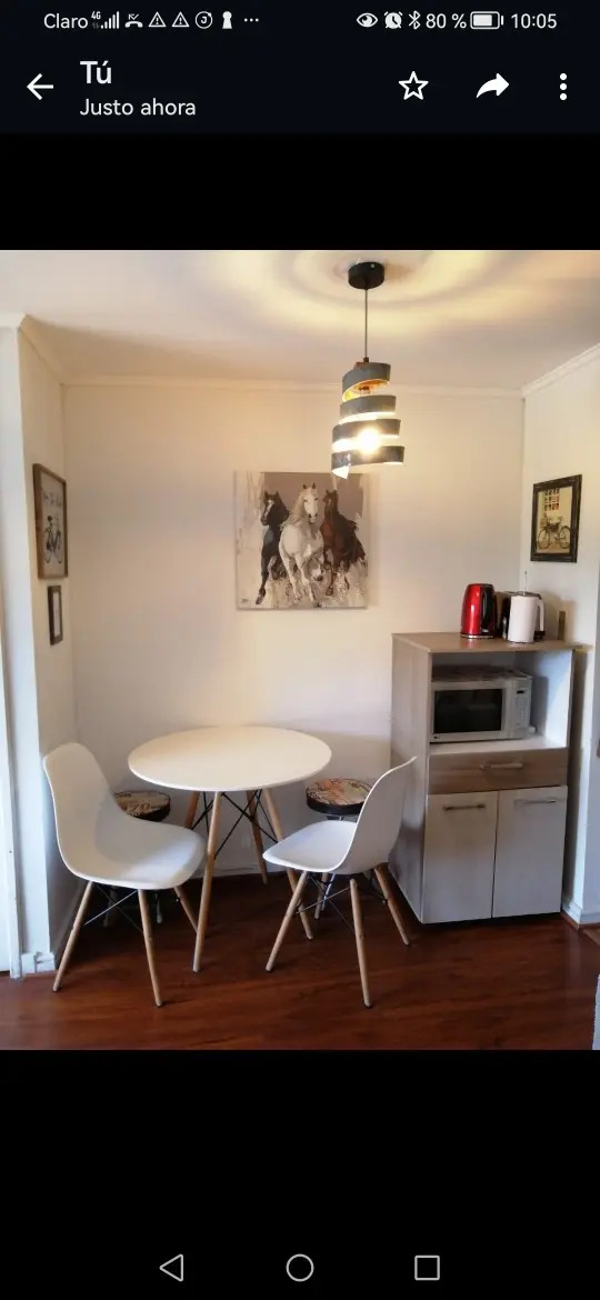 Venta Departamento 1B 1E Pedro de Valdivia - Providencia