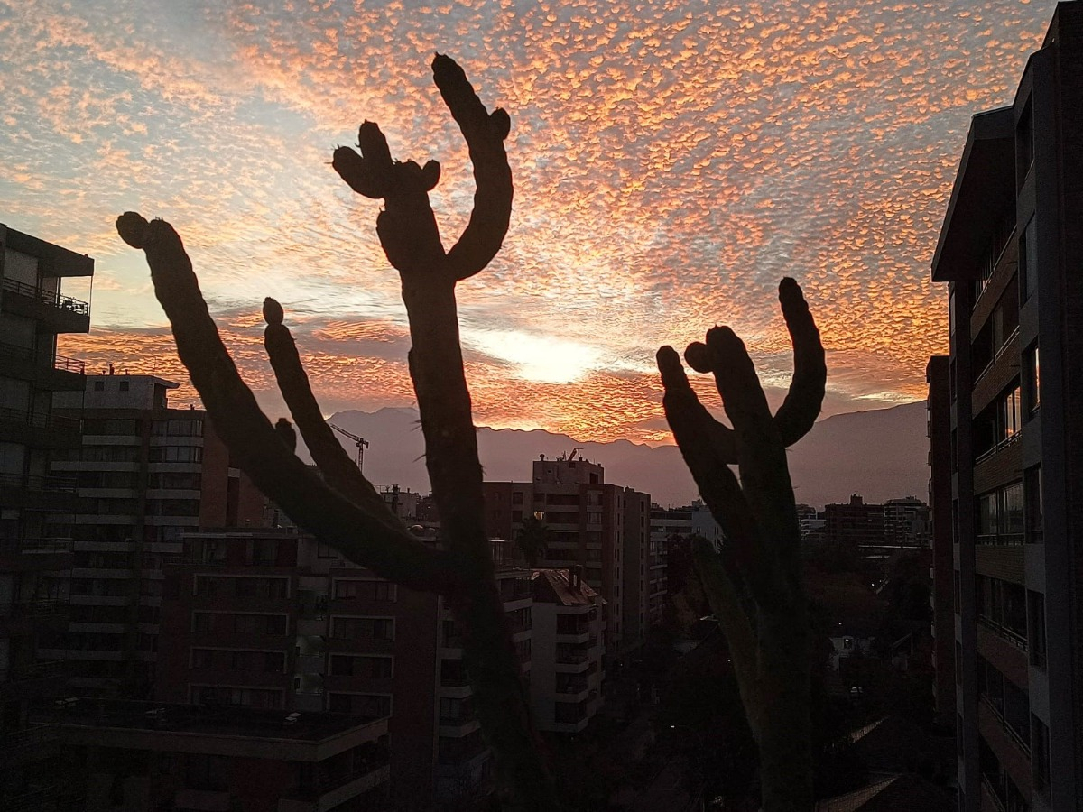 Arriendo Departamento NO 2D en suite Walk-in cl&oacute;set 2B 1E Pedro de Valdivia - Providencia