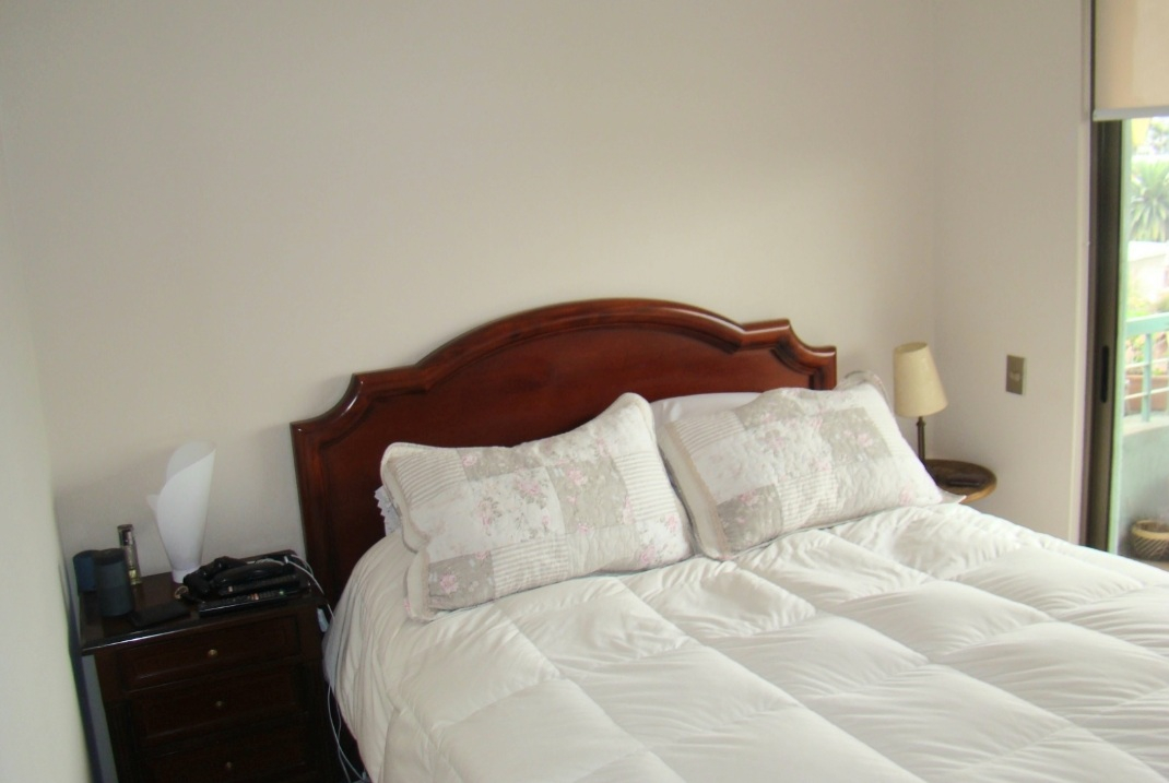 Venta Departamento 4D 3B 1E In&eacute;s de Su&aacute;rez - Providencia