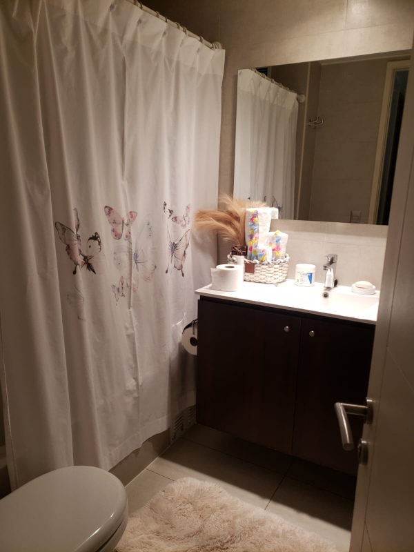 Venta Departamento 3D 2B 1E In&eacute;s de Su&aacute;rez - Providencia