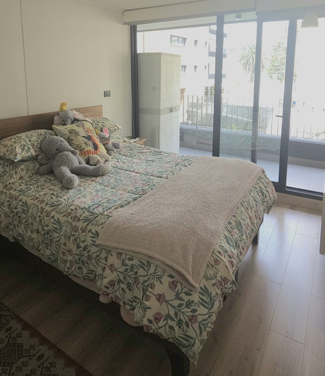 Venta Departamento NP 2D en suite Walk-in cl&oacute;set 2B 1E 1B In&eacute;s de Su&aacute;rez - Providencia