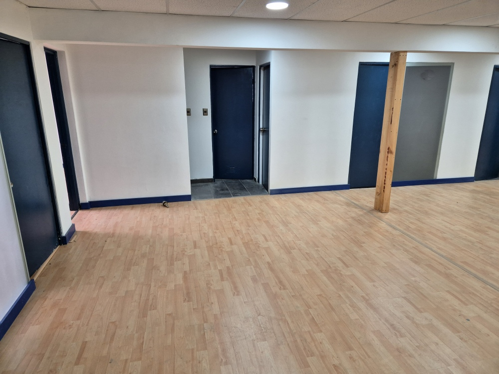 Amplio Galpon, Conchali