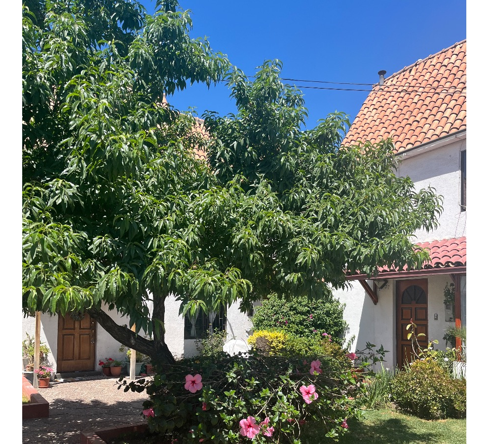 Venta Casa SP 4D 3B 1E Rotonda Atenas - Las Condes