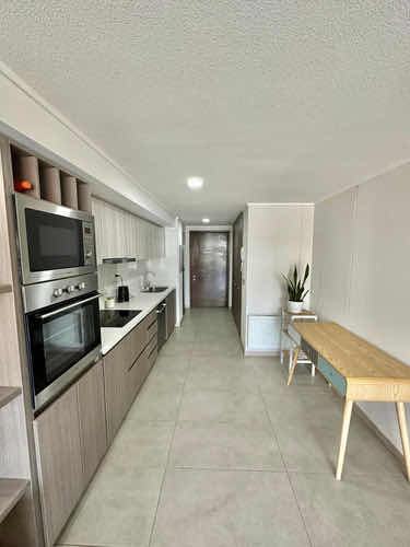 Arriendo Departamento 1D In&eacute;s de Su&aacute;rez - Providencia