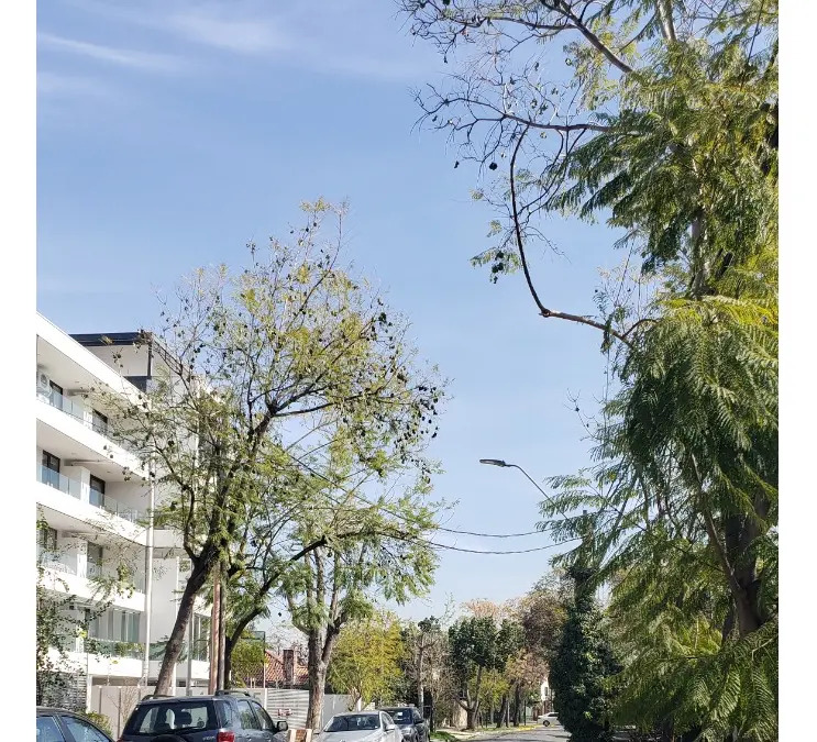 Venta Departamento NP 3D en suite Walk-in cl&oacute;set 2B 2E 1B Amapolas - &Ntilde;u&ntilde;oa