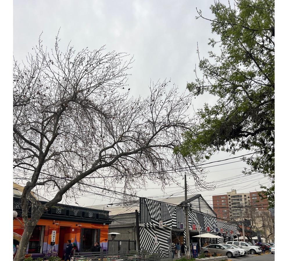 Venta Departamento P 2D en suite Walk-in cl&oacute;set 2B 1E 1B Barrio Italia - Providencia