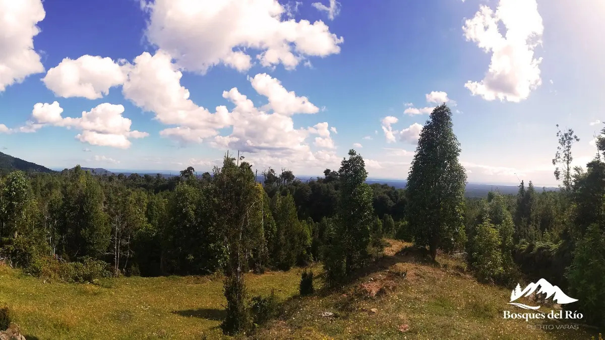 Parcela Bosque Nativo y R&iacute;o con Rol propio 5000m - Puerto Varas