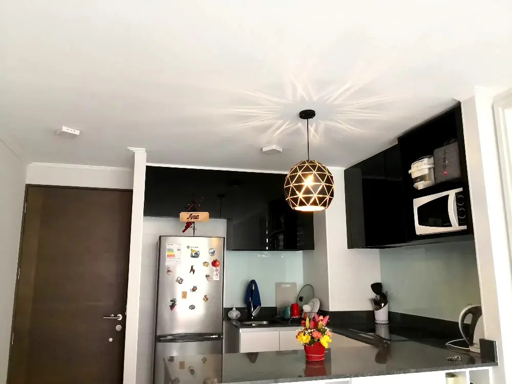 Venta Departamento O 1D en suite Walk-in cl&oacute;set 1B 1E In&eacute;s de Su&aacute;rez - Providencia