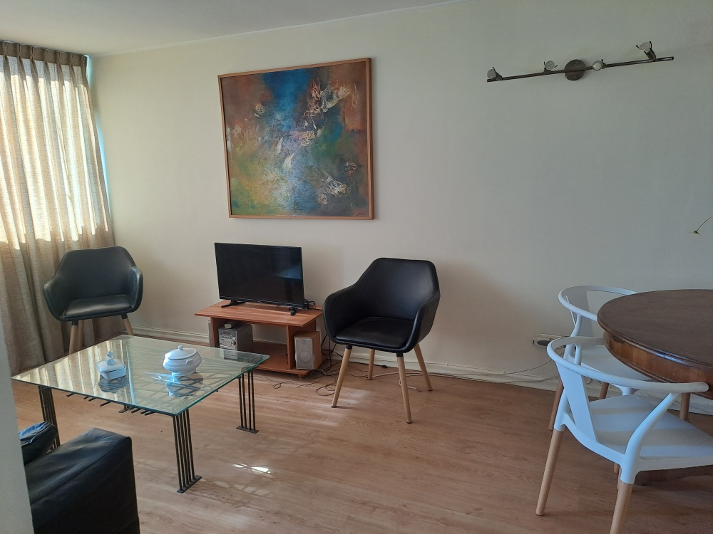 Arriendo Departamento 3D Pedro de Valdivia - Providencia