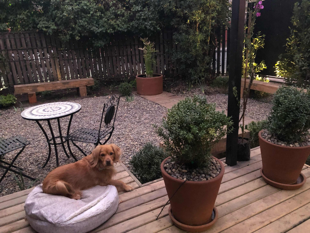 Arriendo Casa 5D 3B 1E 2B Estadio Manquehue - Vitacura