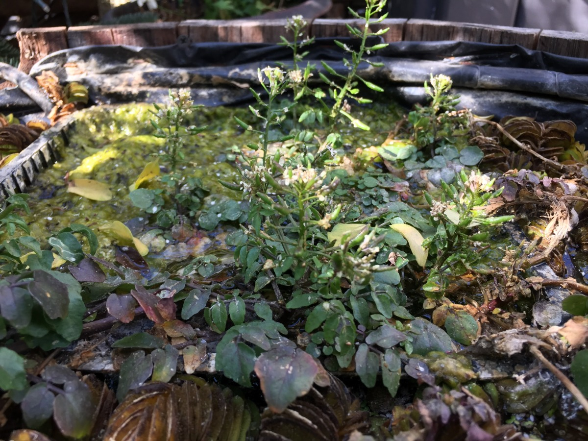 Arriendo Departamento NO 4D en suite Walk-in cl&oacute;set 3B 1E 1B Parque Bicentenario - Vitacura