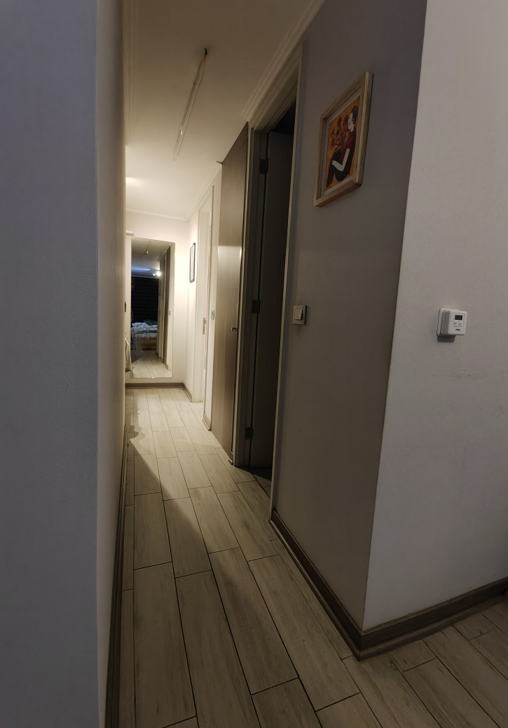 Venta Departamento O 1D en suite Walk-in cl&oacute;set 1B 1E In&eacute;s de Su&aacute;rez - Providencia