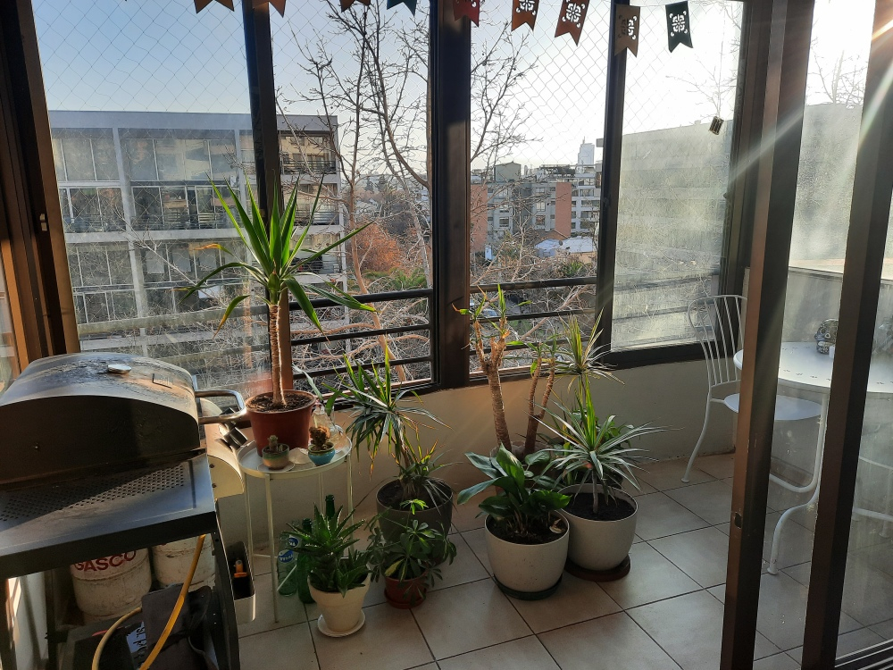 Venta Departamento 2D 2B 1E In&eacute;s de Su&aacute;rez - Providencia