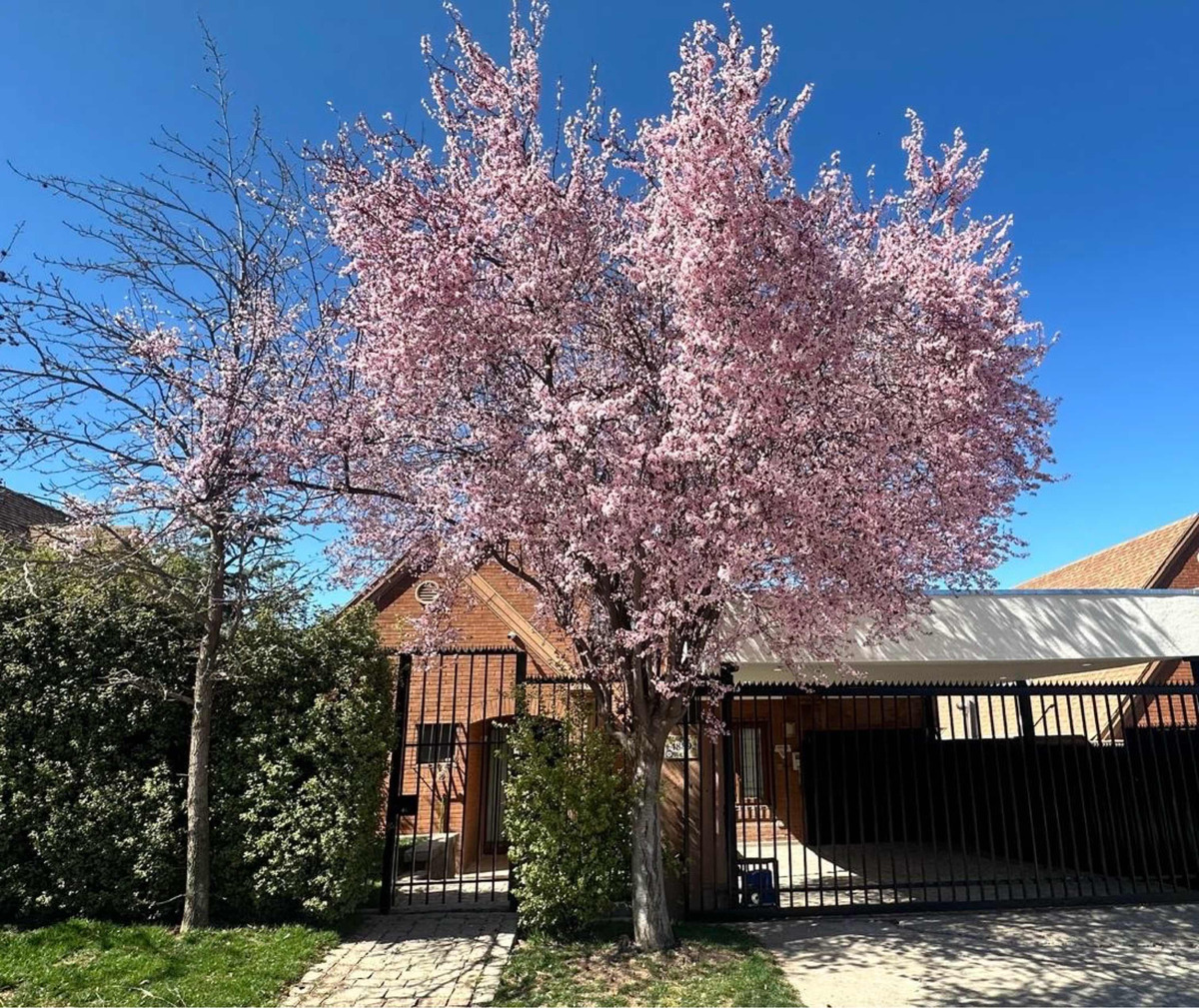 Arriendo Casa 4D 3B 2E 1B La Dehesa - Lo Barnechea