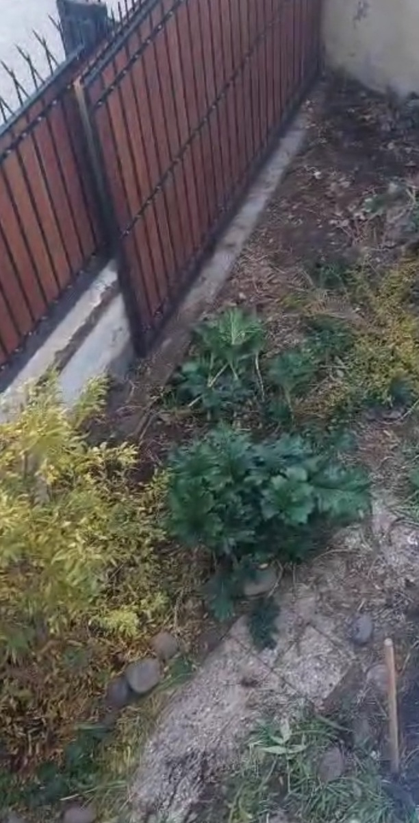 Venta Casa NO 4D Walk-in cl&oacute;set 2B 2E 1B Barrio Italia - Providencia