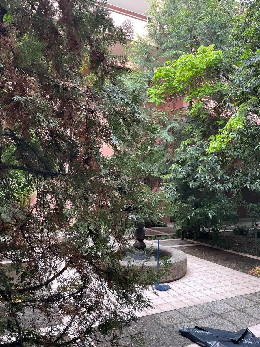 Arriendo Departamento 2D 1B 1E 1B San Dami&aacute;n - Las Condes