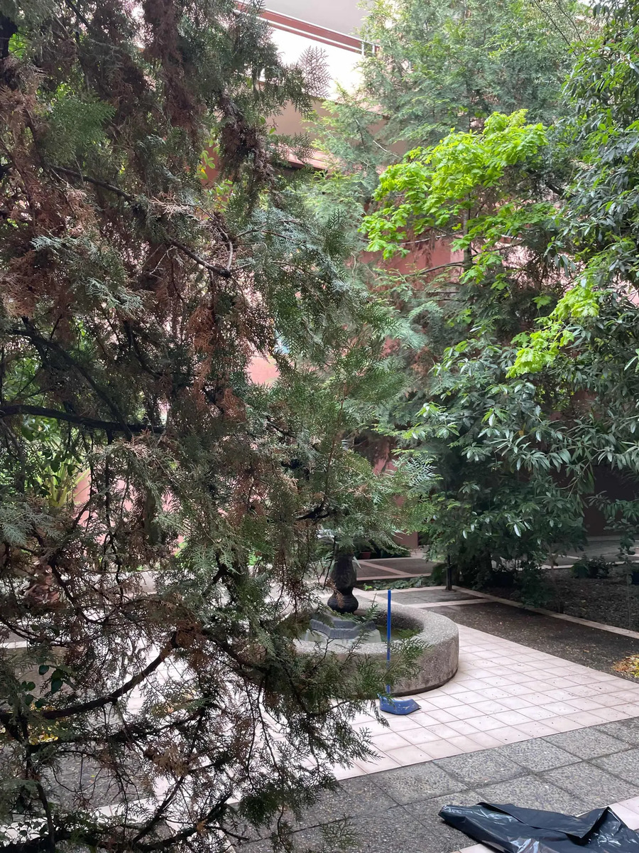 Arriendo Departamento 2D 1B 1E 1B San Dami&aacute;n - Las Condes