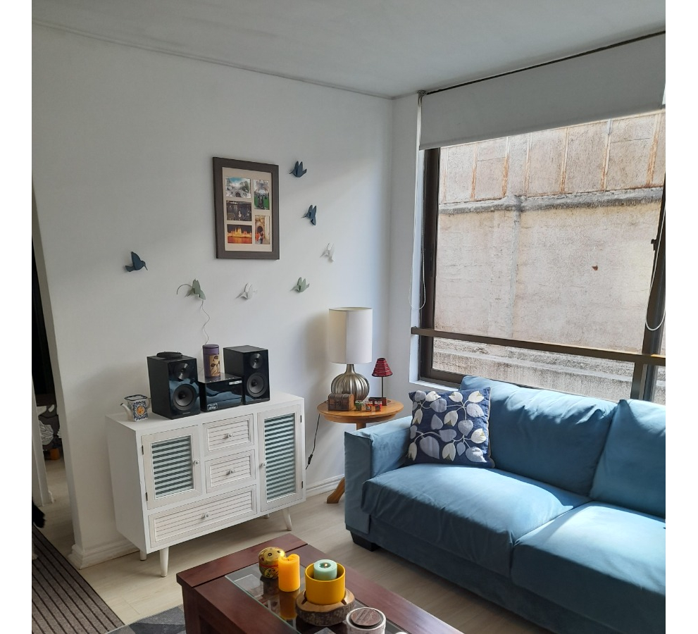 Venta Departamento 2D Las Lilas - Providencia