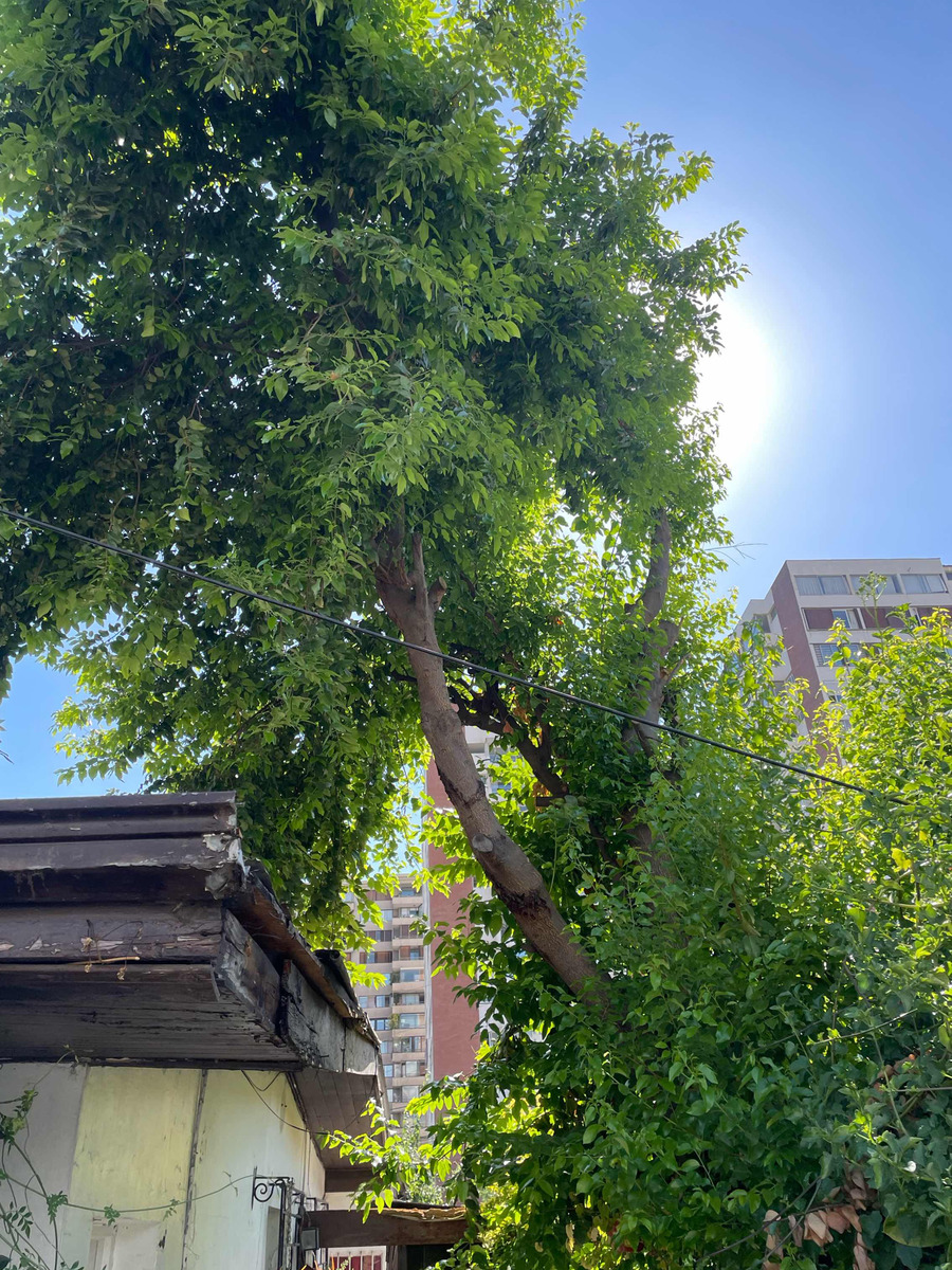 Venta Casa 4D 2B 1E Sebasti&aacute;n Elcano - Las Condes