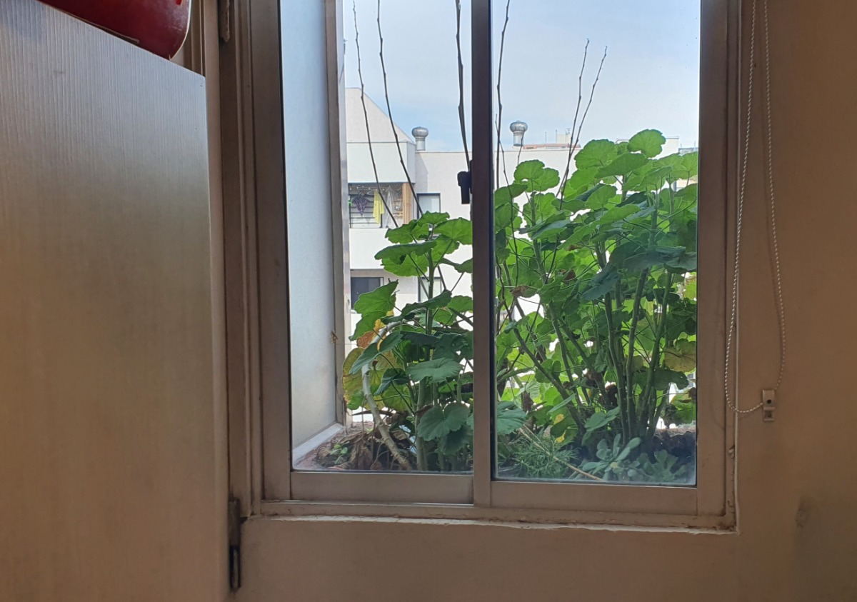 Venta Departamento 4D 3B 1E 2B Los Leones - Providencia