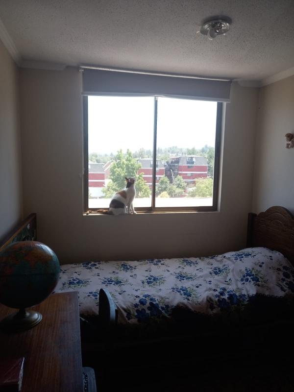 Venta Departamento 3D Antigua Lo Barnechea - Lo Barnechea