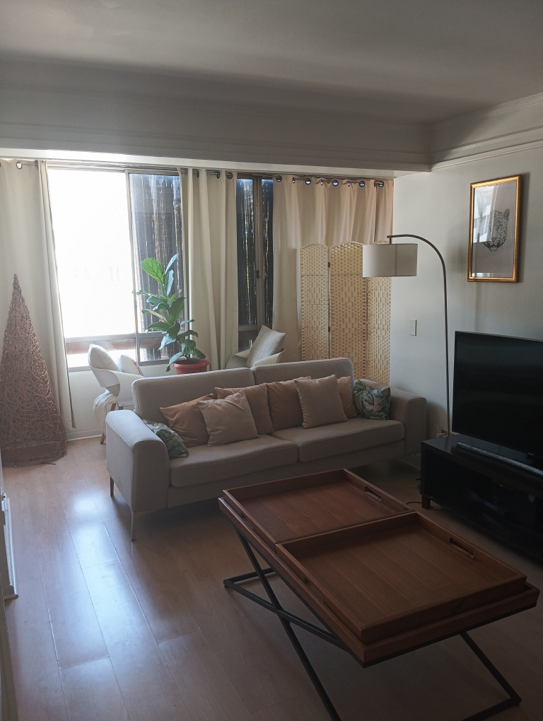 Arriendo Departamento 2D 2B 1E Los Leones - Providencia