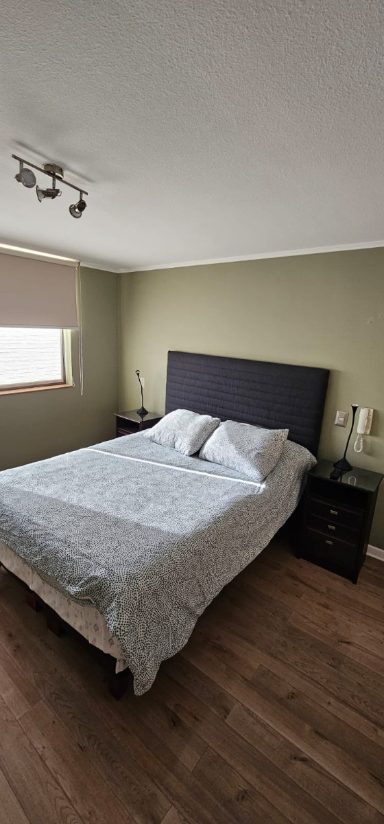 Arriendo Departamento O 2D 2B 1E 1B In&eacute;s de Su&aacute;rez - Providencia