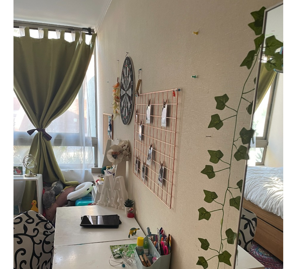 Arriendo Departamento O 2D en suite Walk-in cl&oacute;set 2B 2E 1B  - Lo Barnechea