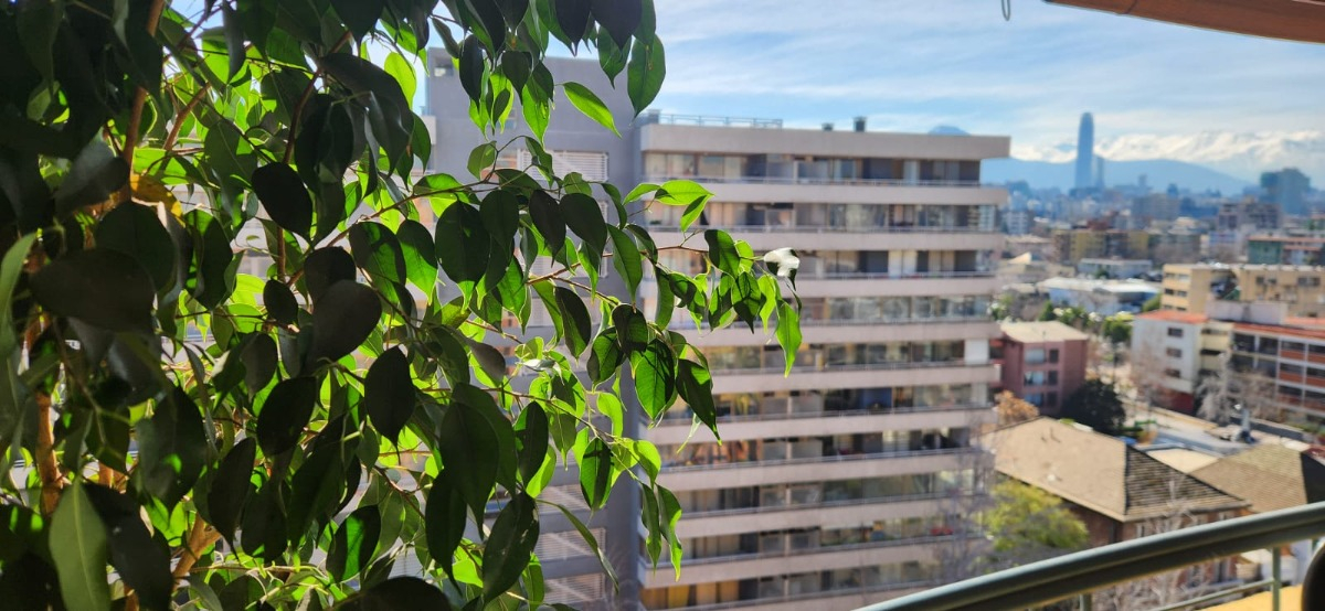 Arriendo Departamento N 2D en suite Walk-in cl&oacute;set 2B 1E Barrio Italia - Providencia