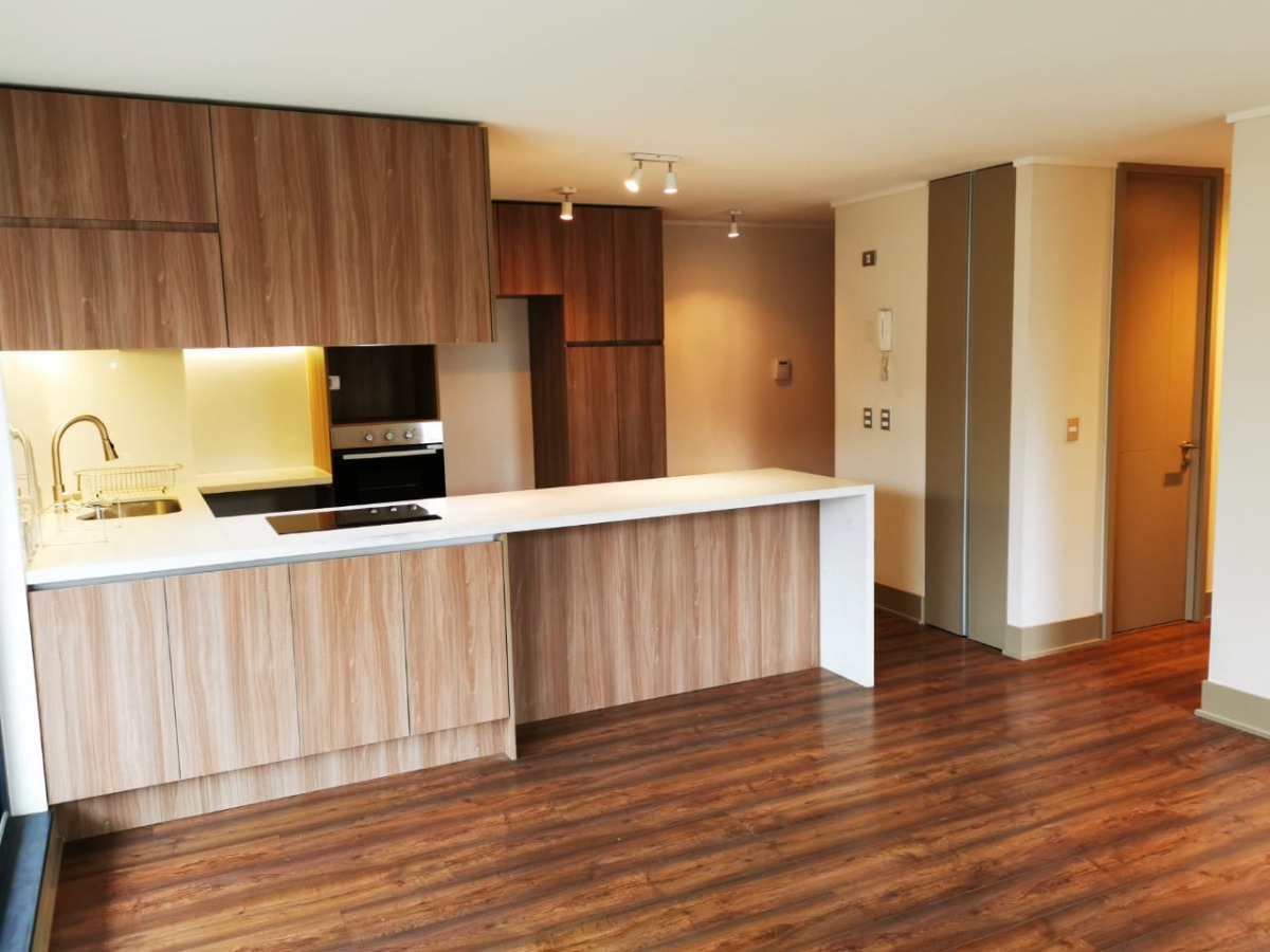 Arriendo Departamento 2D In&eacute;s de Su&aacute;rez - Providencia