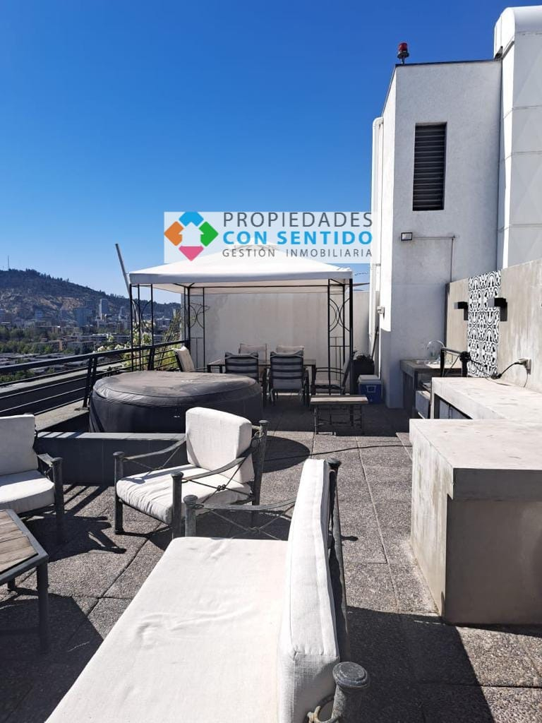 Arriendo Departamento 2D In&eacute;s de Su&aacute;rez - Providencia