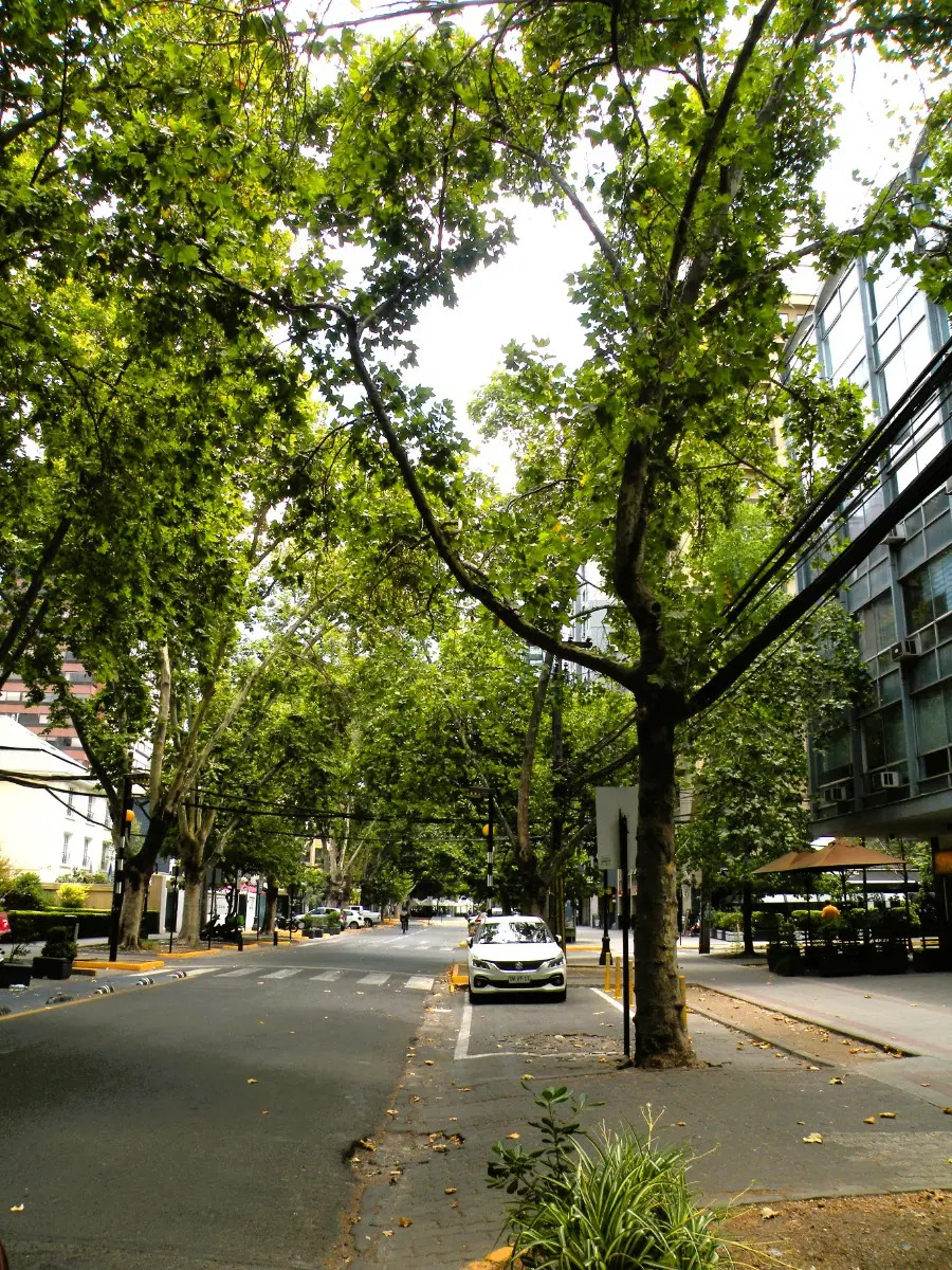 Venta Oficina SO 2B Metro Tobalaba - Mall Costanera - Providencia