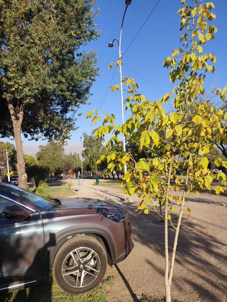 Venta Casa NO 2D 2B 2E 2B Juan G&oacute;mez Millas - &Ntilde;u&ntilde;oa