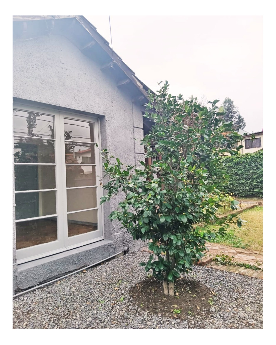 Arriendo Casa SO 3D 2B 3E 1B Palmas de Mallorca - La Reina