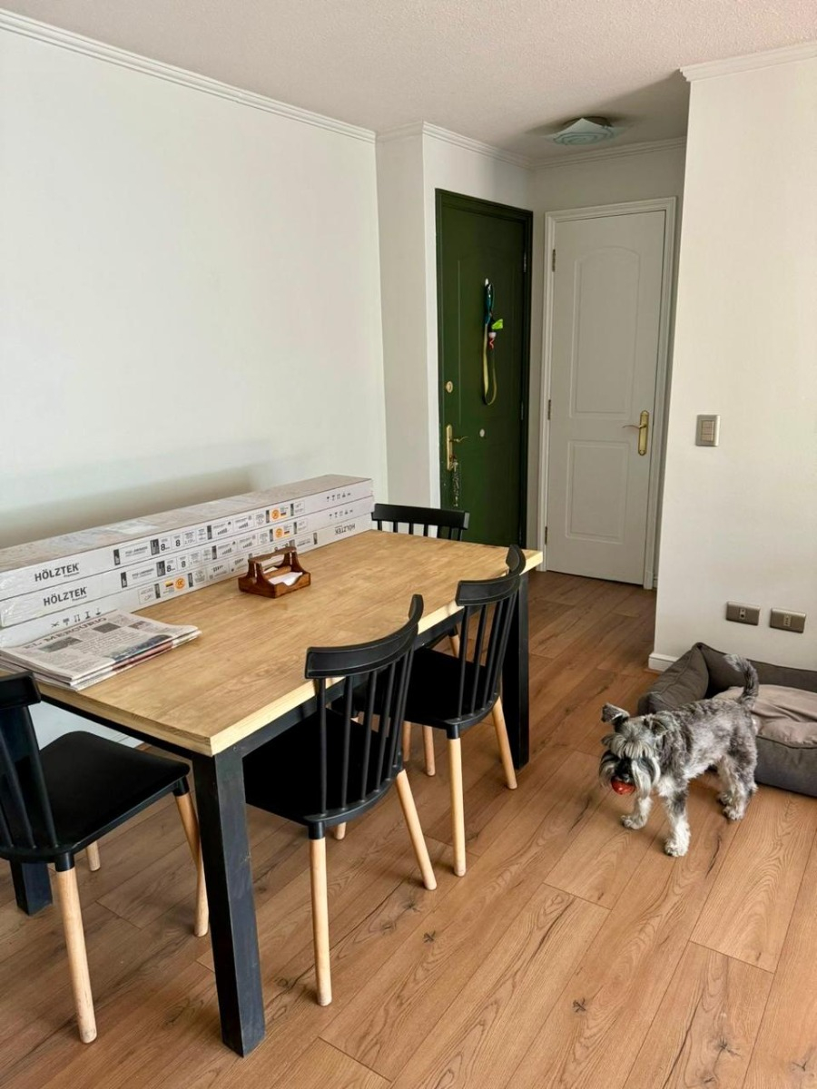 Arriendo Departamento O 2D 2B 1E 1B Barrio Italia - Providencia